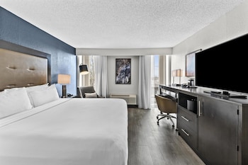 Room, 1 Queen Bed, Accessible, Bathtub (Mobility/Hearing)