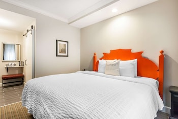 Deluxe Room, 1 King Bed