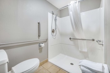 Standard Room, 1 King Bed, Accessible, Non Smoking
