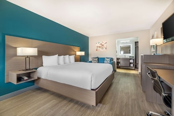 Standard Room, 1 King Bed, Non Smoking, Refrigerator & Microwave
