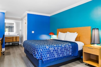 Room, 1 King Bed