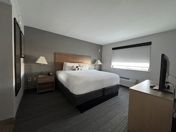 Suite, 1 King Bed with Sofa bed, Non Smoking