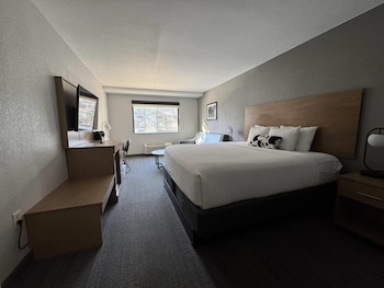 Standard Room, 1 King Bed with Sofa bed, Non Smoking