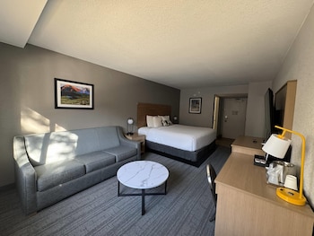 Standard Room, 1 King Bed with Sofa bed, Non Smoking