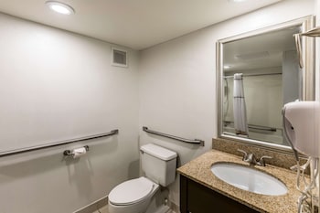 Room, 1 King Bed, Accessible, Non Smoking