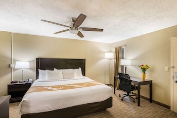 Room, 1 King Bed, Accessible, Non Smoking