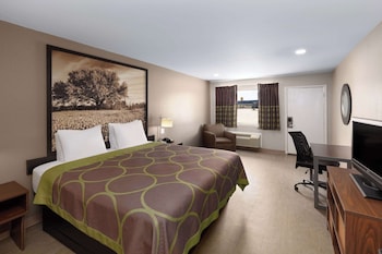 Room, 1 King Bed (Hearing, Mobility Roll-In Shower)