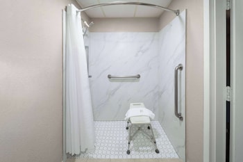 Room, 1 King Bed (Hearing, Mobility Roll-In Shower)