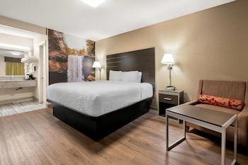 Standard Room, 1 King Bed, Non Smoking