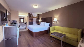 Room, 1 King Bed, Accessible, Non Smoking
