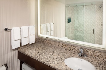 Junior Suite, 1 King Bed, Accessible (Roll In Shower)