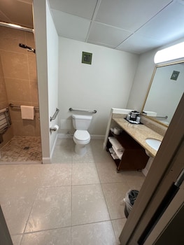 Room, 1 King Bed, Accessible, Non Smoking