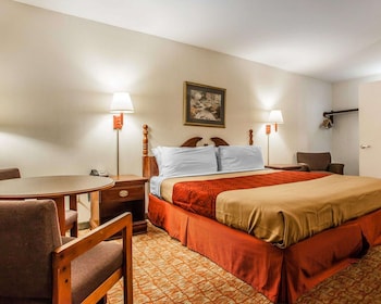 Standard Room, 1 King Bed, Non Smoking