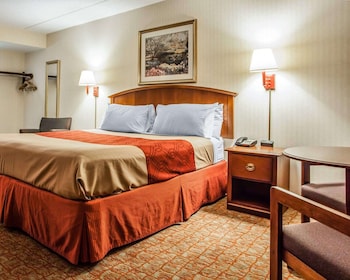 Standard Room, 1 King Bed, Non Smoking