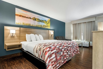 Superior Room, 1 King Bed, Non Smoking