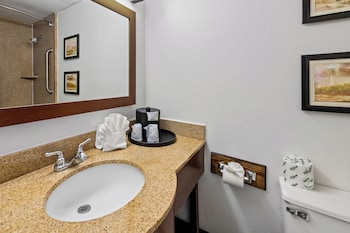 Room, 1 King Bed, Non Smoking, Corner
