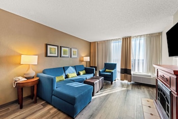 Suite, 1 King Bed with Sofa Bed, Non Smoking with Hot Tub