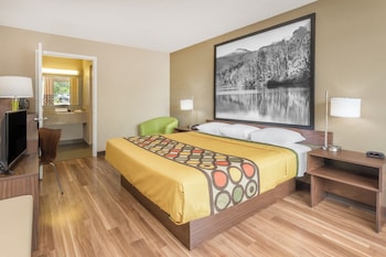Room, 1 King Bed