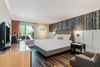 Room, 1 King Bed, Non Smoking