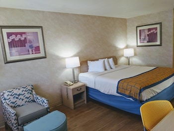 Room, 1 King Bed, Non Smoking