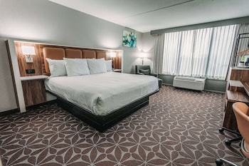 1 King Bed, Non-Smoking