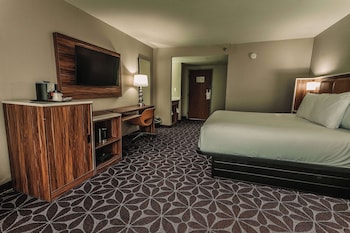 1 King Bed, Non-Smoking