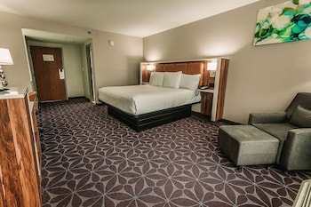 1 King Bed, Non-Smoking