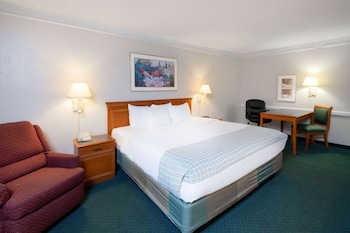 Room, 1 King Bed, Accessible, Non Smoking (Mobility Accessible)