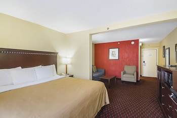 Suite, 1 King Bed with Sofa bed, Non Smoking