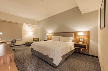 Standard Room, 1 King Bed (Bath Shower Combination)