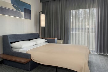Room, 1 King Bed with Sofa bed