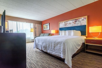 Standard Single Room, 1 King Bed with Sofa bed, Non Smoking