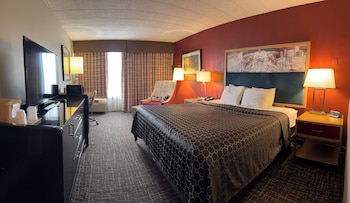 Standard Single Room, 1 King Bed, Non Smoking
