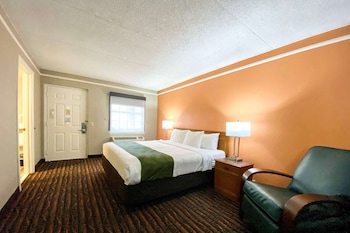 Standard Room, 1 King Bed, Smoking