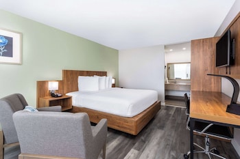 Standard Room, 1 King Bed