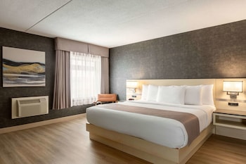 Room, 1 King Bed, Non Smoking
