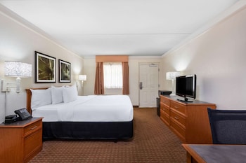 Suite, 1 King Bed with Sofa Bed