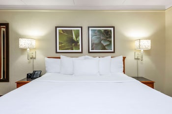 Room, 1 King Bed, Accessible, Non Smoking (Mobility/Hearing Impaired Accessible)