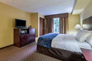 Suite, 1 King Bed with Sofa bed, Non Smoking