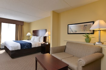 Suite, 1 King Bed with Sofa bed, Non Smoking