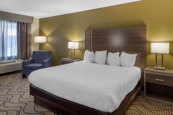 Standard Room, 1 King Bed, Non Smoking