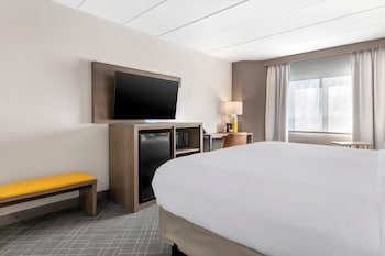 Standard Room, 1 King Bed, Non Smoking