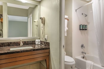 Standard Room, 1 King Bed, Non Smoking, Refrigerator & Microwave