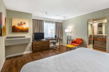 Standard Room, 1 King Bed, Non Smoking, Refrigerator & Microwave