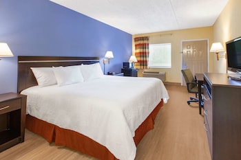 Room, 1 King Bed, Non Smoking