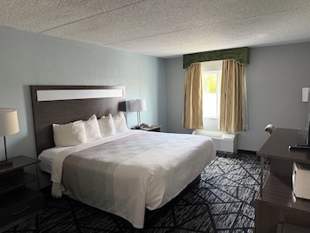 Room, 1 Queen Bed, Mobility Accessible, Non Smoking