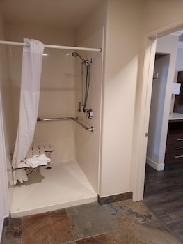 Standard Room, 1 Queen Bed, Accessible, Non Smoking (Walk-in Shower)