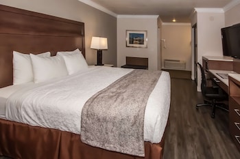 Standard Room, 1 King Bed, Accessible, Bathtub