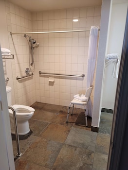 Standard Room, 1 King Bed, Accessible, Non Smoking
