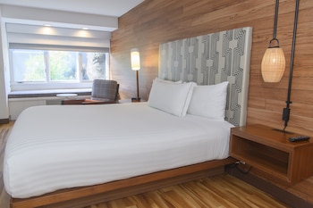 Classic Room, 1 King Bed